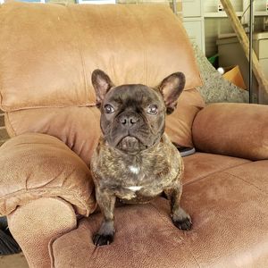 Meet your Posher, Brad